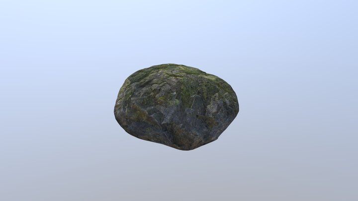Moss Rock 3D Model