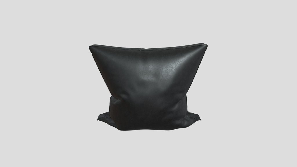 Leather Cushion
