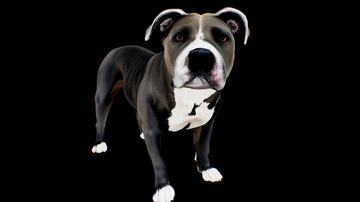 Graceful Canine – Modello 3D gratuito STL