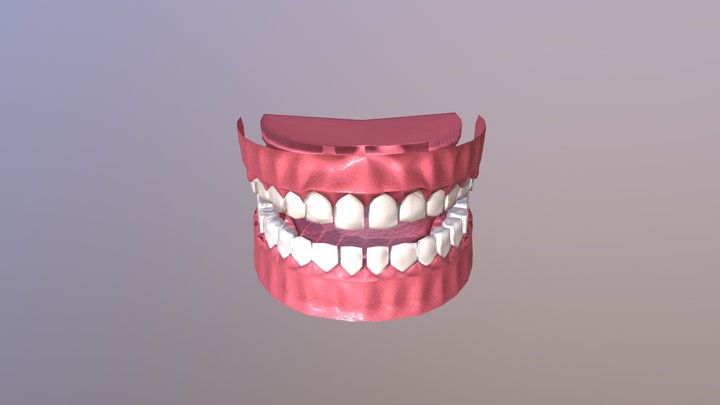 Mouth 3D Model