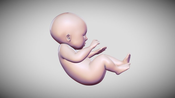Baby 3D Model