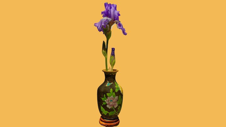 Spring Iris& Vase 3D Model