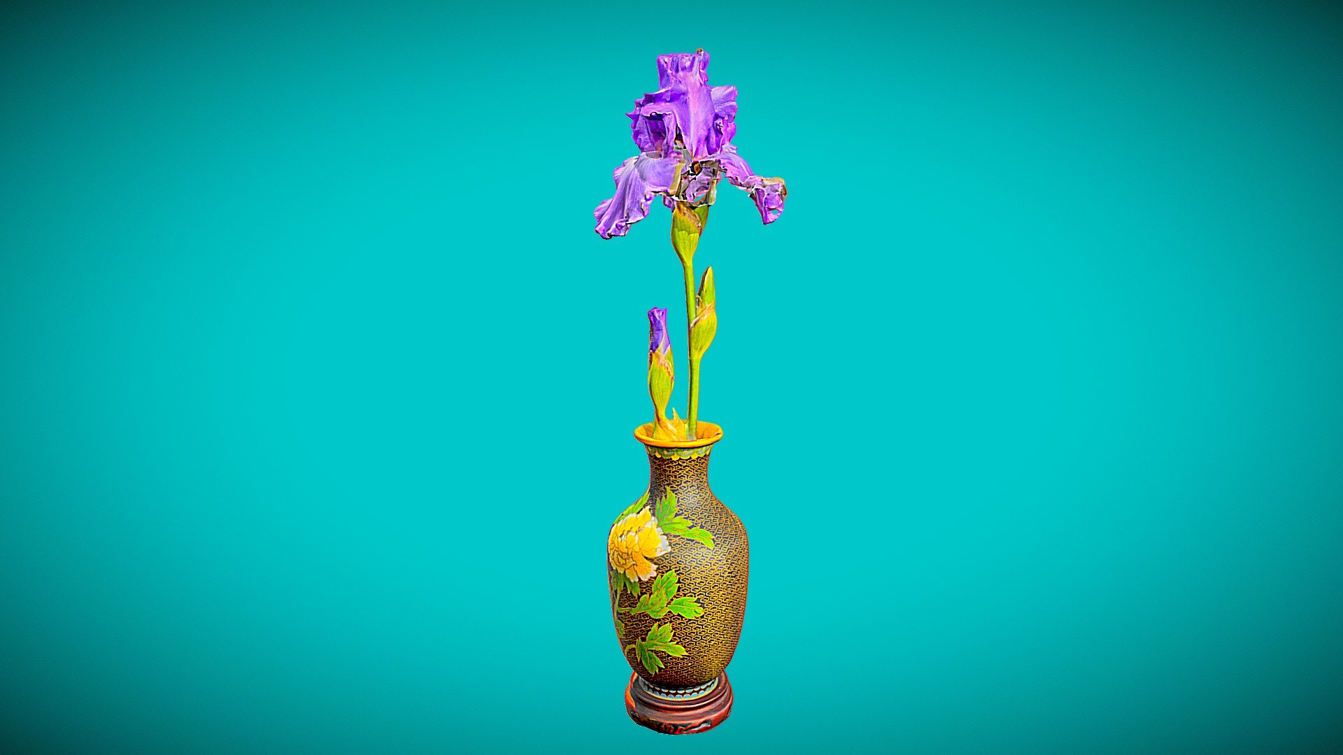 Spring Iris& Vase — Sketchfab embed 3D viewer