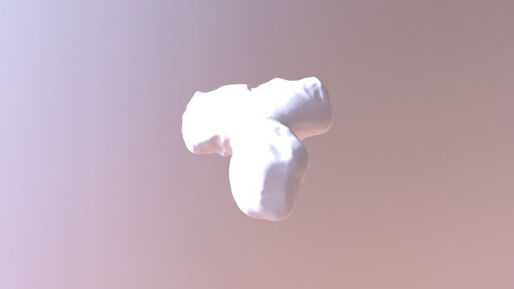 Scanned 3D Model