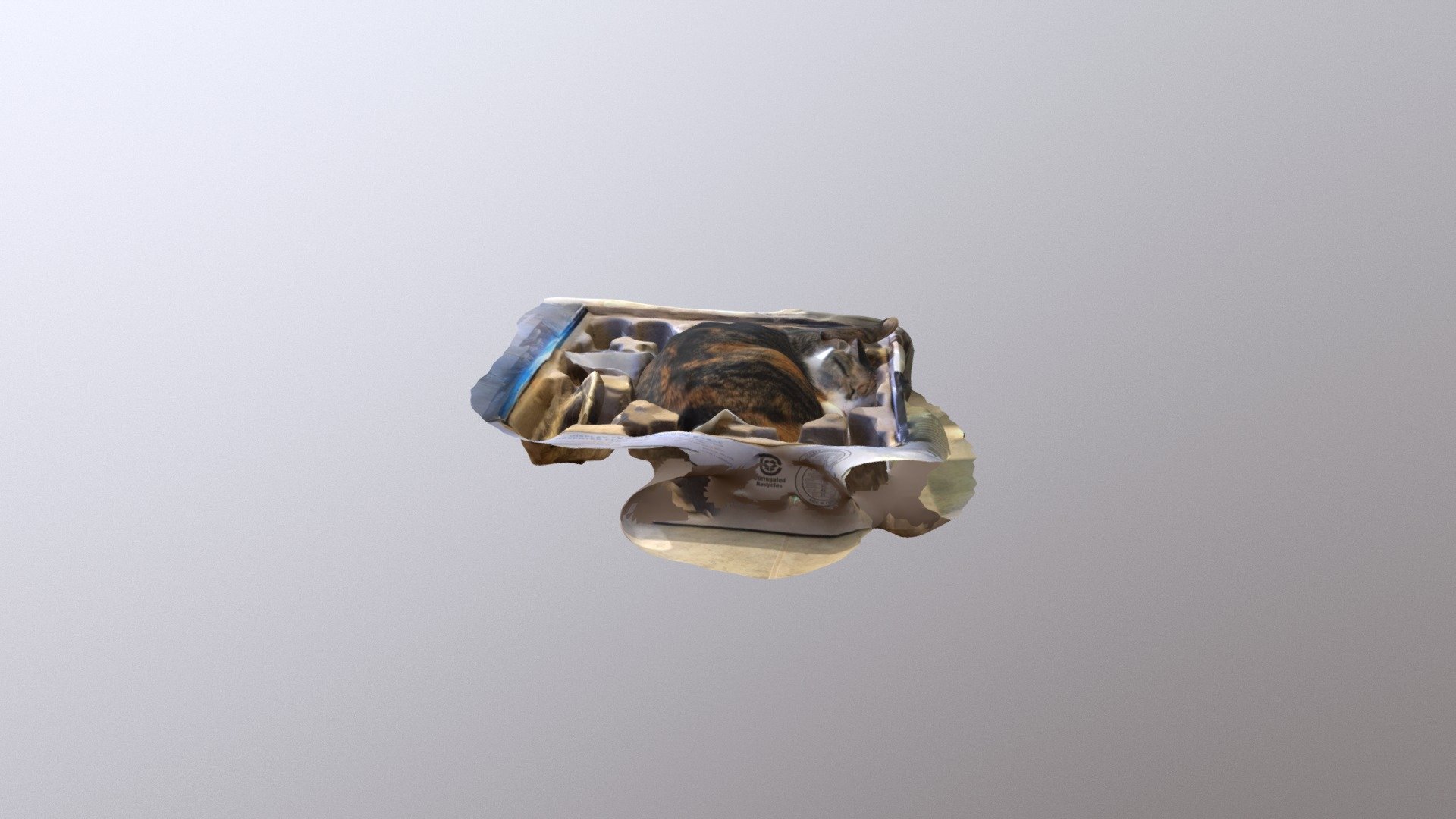 Cat in box - 3D model by seankheraj [f061542] - Sketchfab