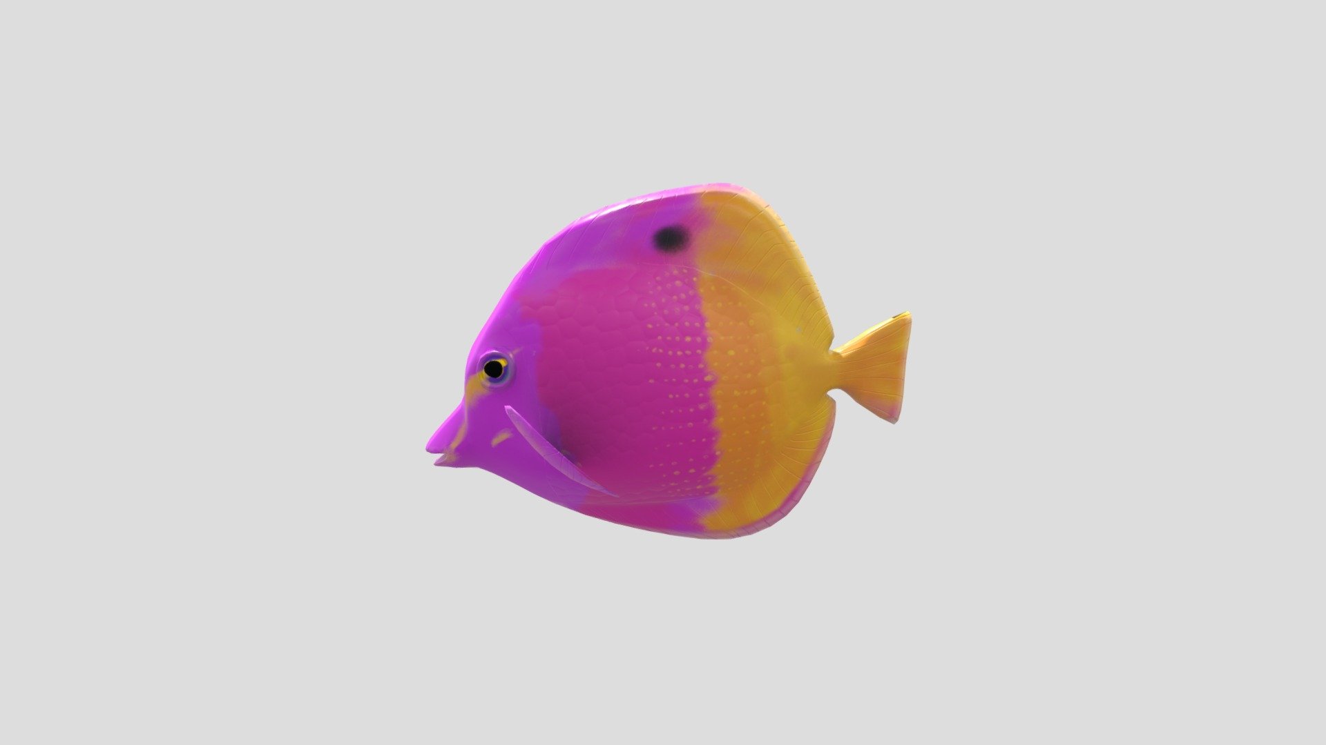 Tropical Fish