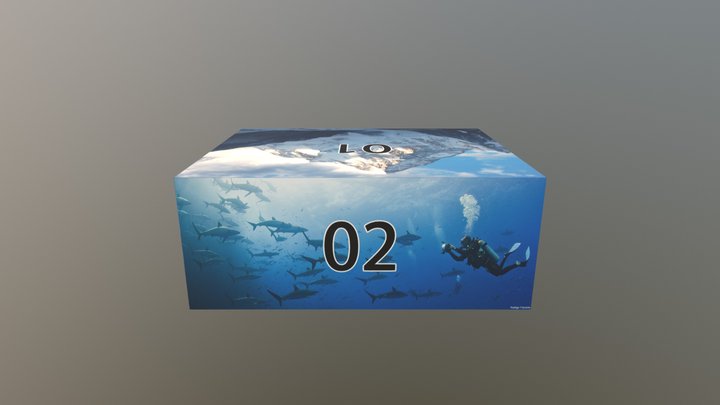 BOX 3D Model