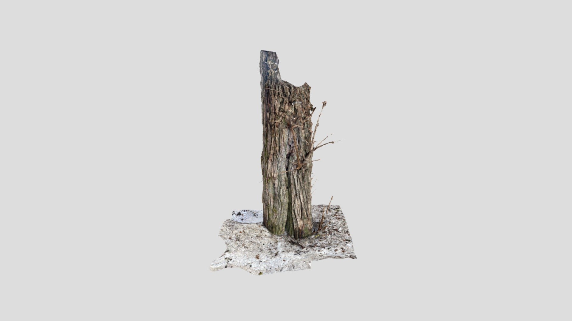 tree study 02 - Download Free 3D model by tarasan717 [f0667d5] - Sketchfab