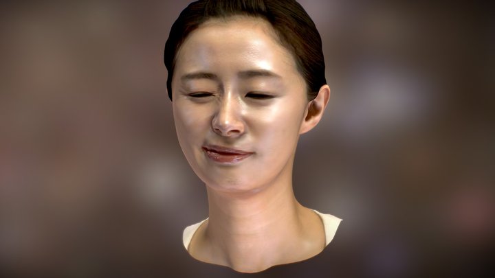 Facial Expression Test 02 (Low resolution case) 3D Model