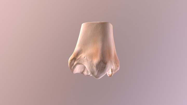 DJD Horsejoint Try6 3D Model