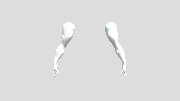 Arms 3D Model