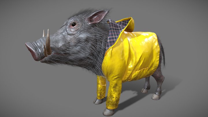 Wild Boar with coat 3D Model