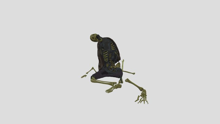 Skeleton Sitting 3D Model