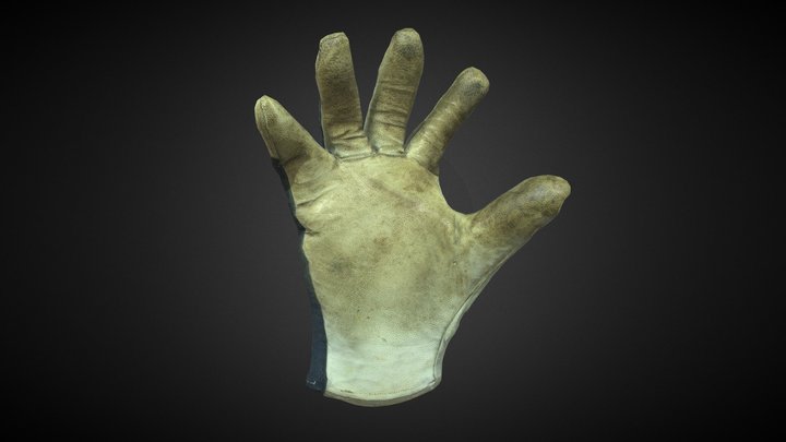 Dirty Glove Photoscan 3D Model