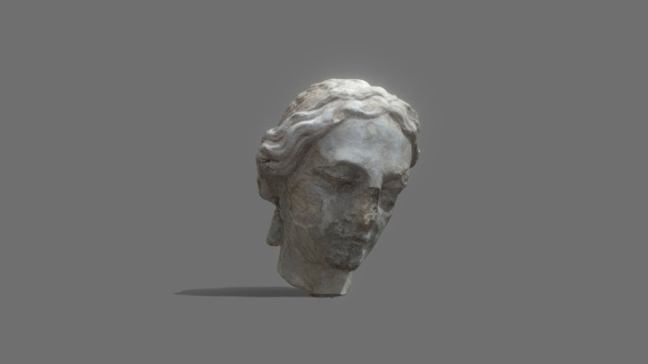 Модель головы скульптуры "Милосердие" 3D Model