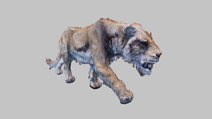 Grottenleeuw 3D Model