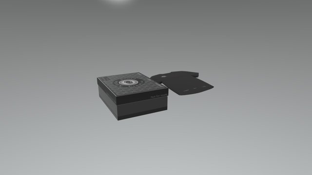 The black box 3D Model