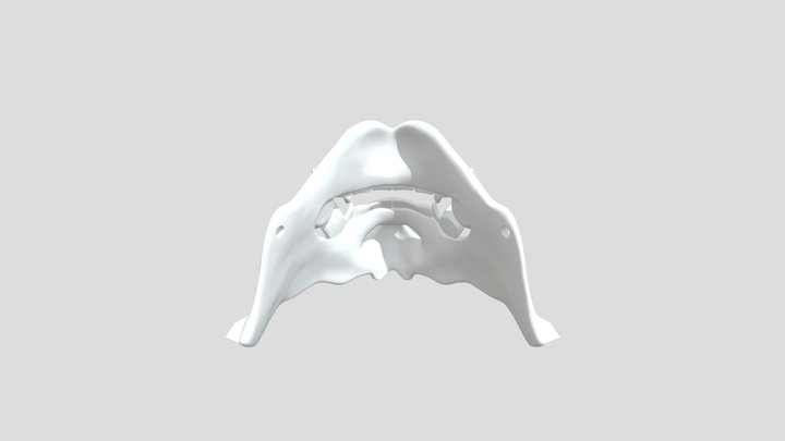 Samurai Mask