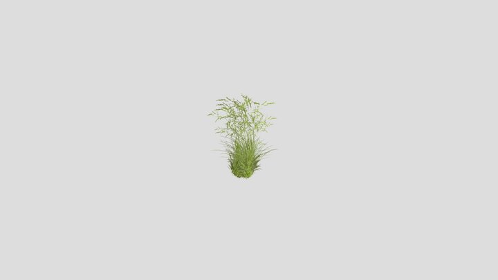Grassfront 3D Model
