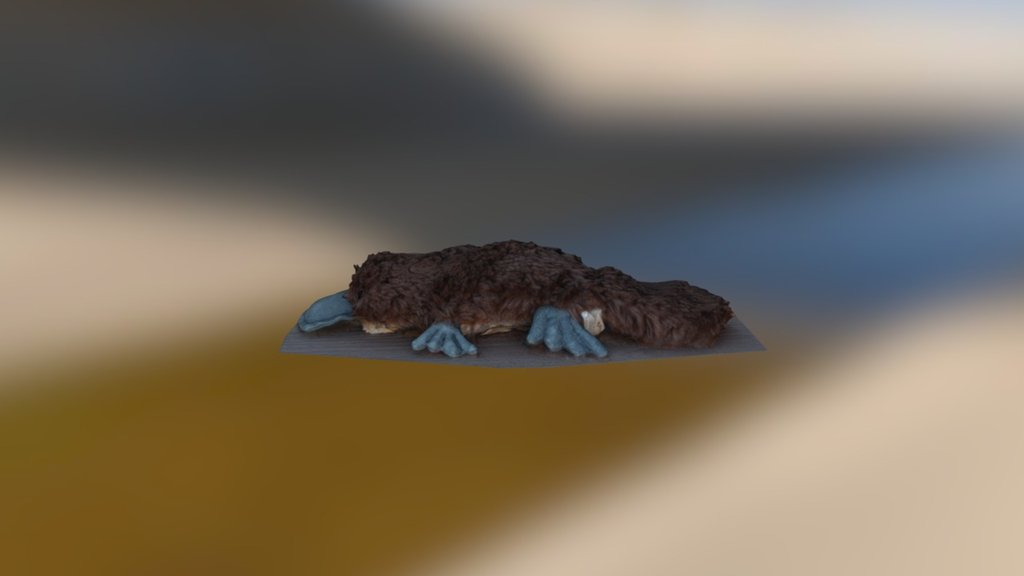 The Platypus