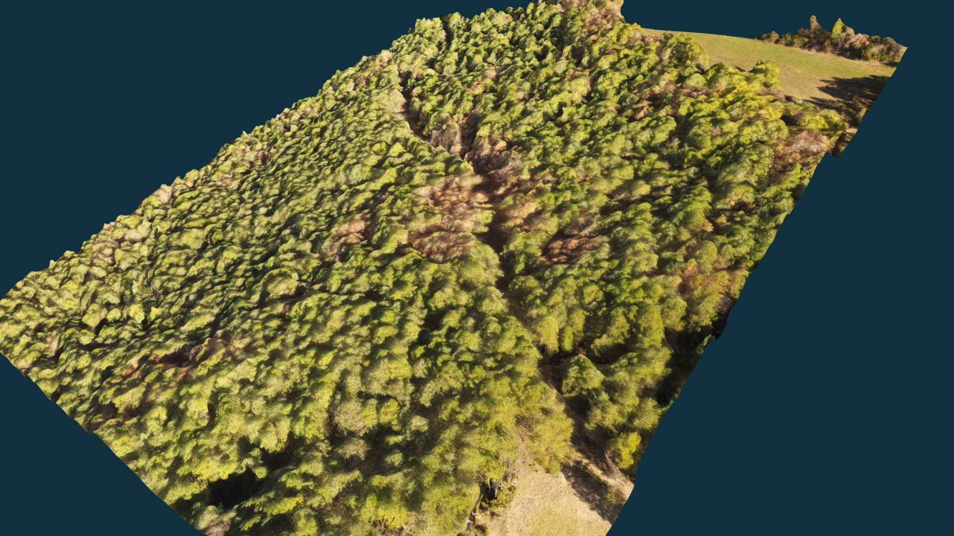 Modelo forestal para estudio de vegetación