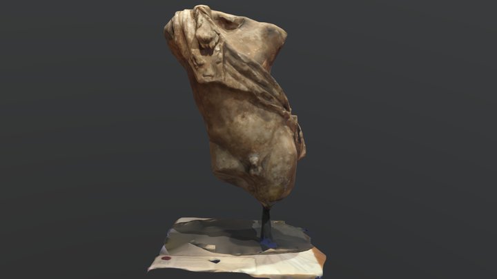 Torso with Panther Skin 3D Model