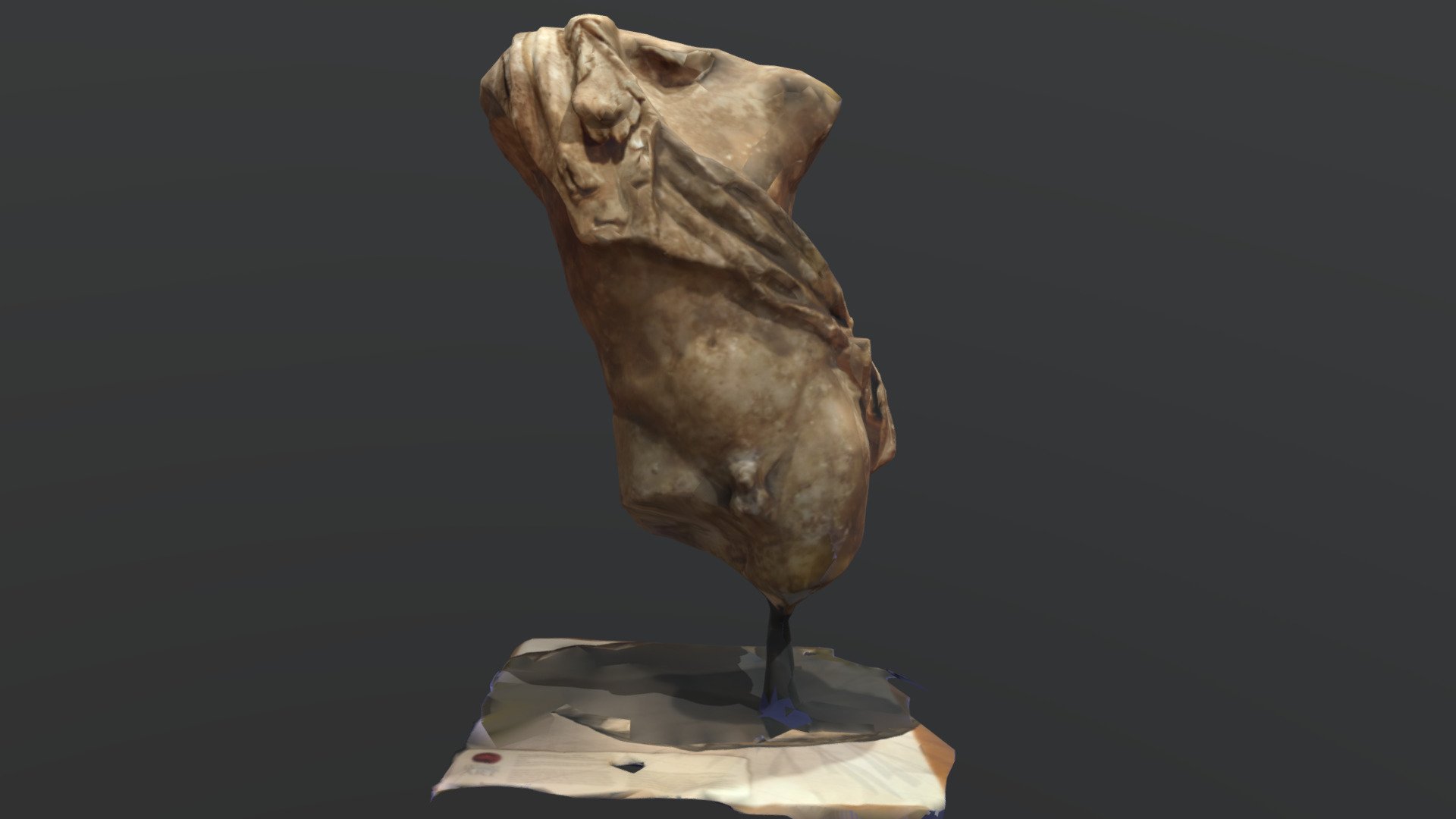 Torso with Panther Skin