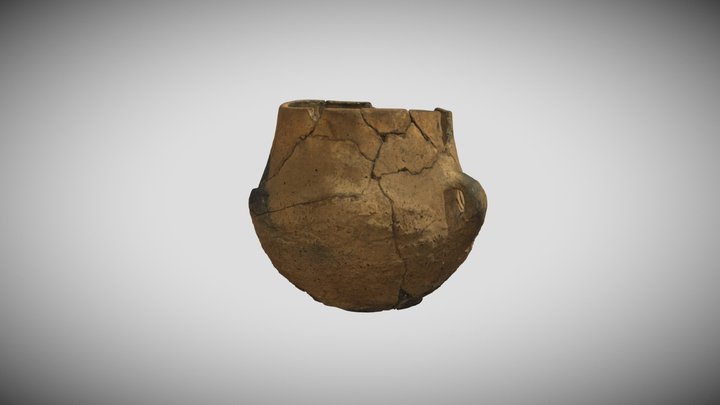 Amphorae type vassel (S2K5_SK13) 3D Model