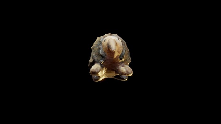 Optimized Kiwi Toy 3D Model