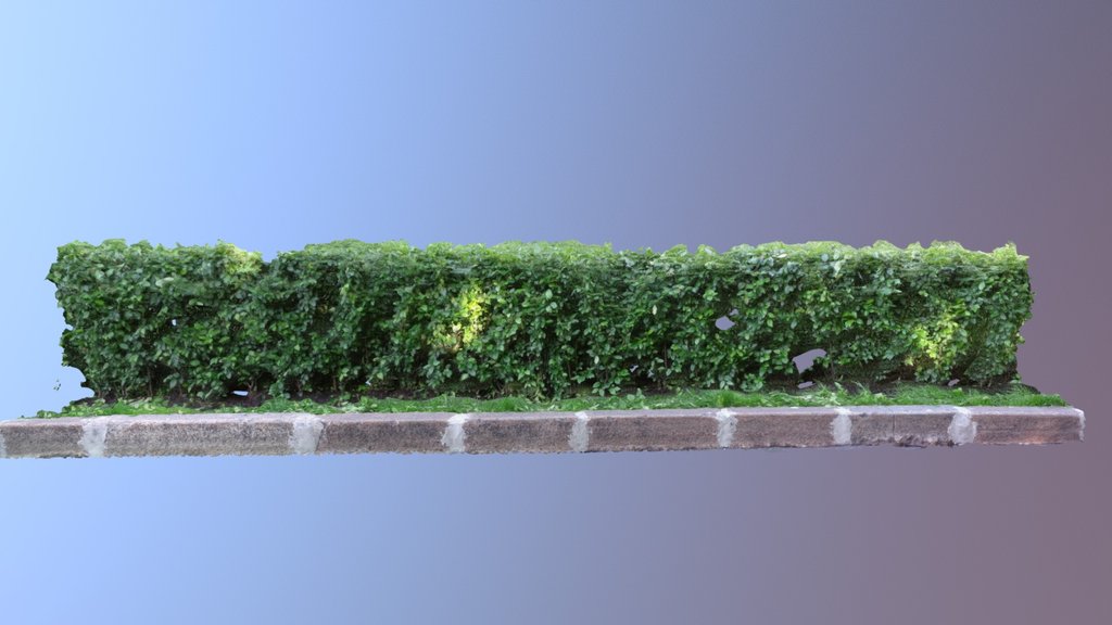 Gardening. Park. Landscape.13