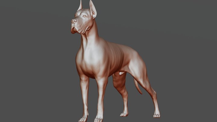 pitbull-3d-models-sketchfab