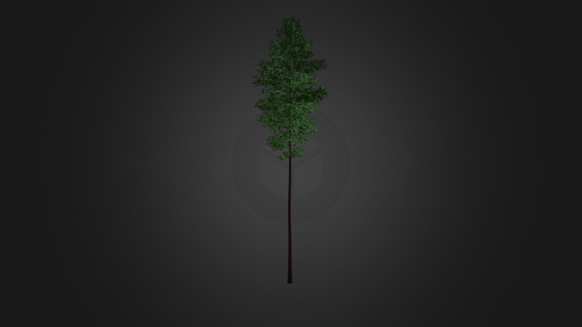 3D model Scots Pine Tree (Pinus sylvestris) 27.6m - This is a 3D model of the Scots Pine Tree (Pinus sylvestris) 27.6m. The 3D model is about shape.