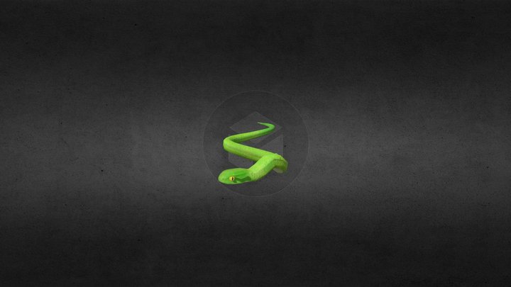 Snake 3D Model