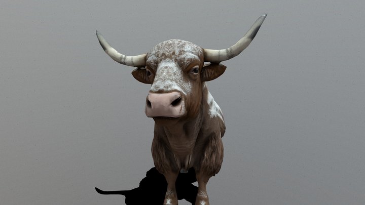 Snowy Yak | Ox | Cow | Bovine [MESHY 6]