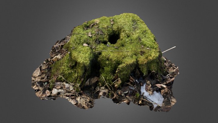 Moss stump 3D Model