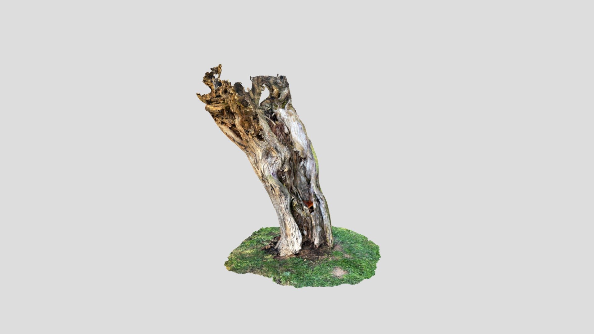 Death tree