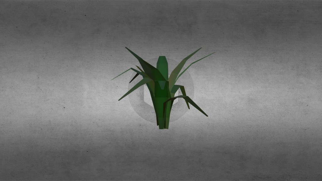 Grass
