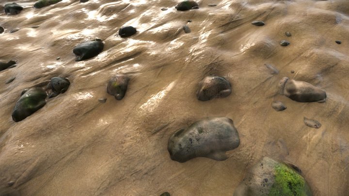 Low Tide 3D Model