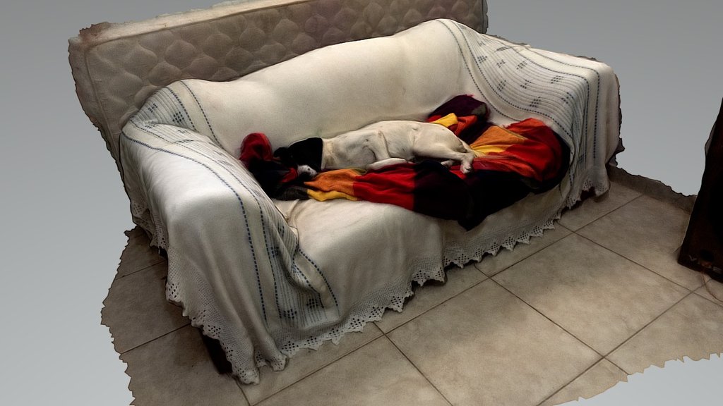 Cachorro no Sofá