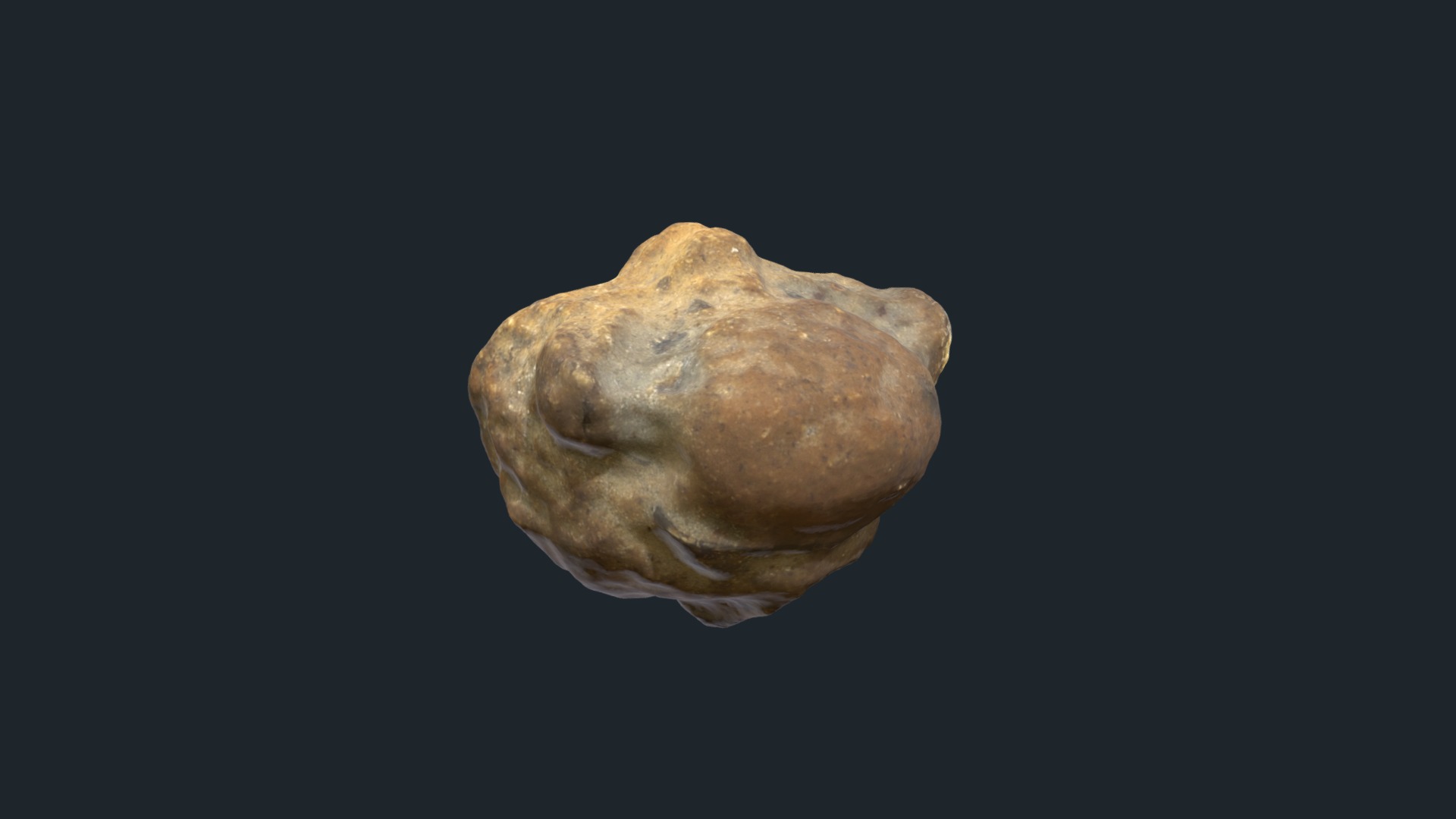 3D model Phacops circumspectans - This is a 3D model of the Phacops circumspectans. The 3D model is about a rock with a face.