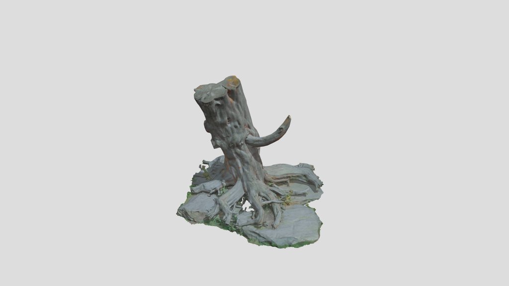 Huge Tree Stump Roots Pbr Scan
