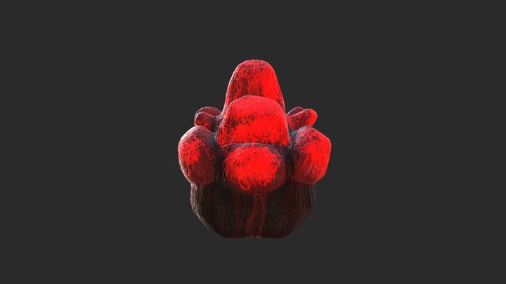 Gems Rock 3D Model