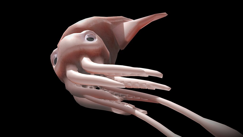 Squid