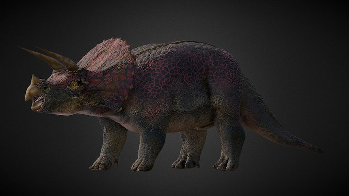 Tricératops 3D Model