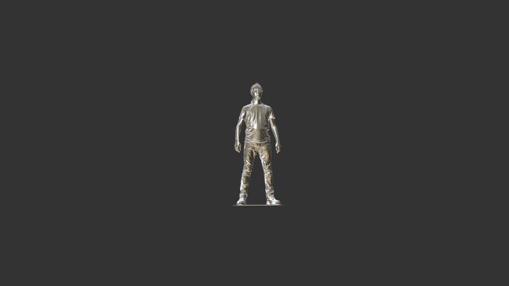 human scan 3D Model