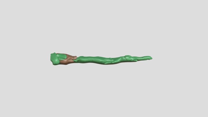 chameleon by rafe – Modello 3D gratuito STL