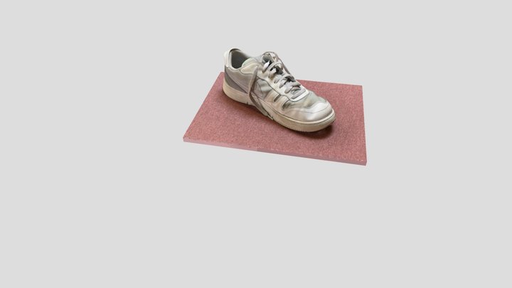 Shoe test 3D Model