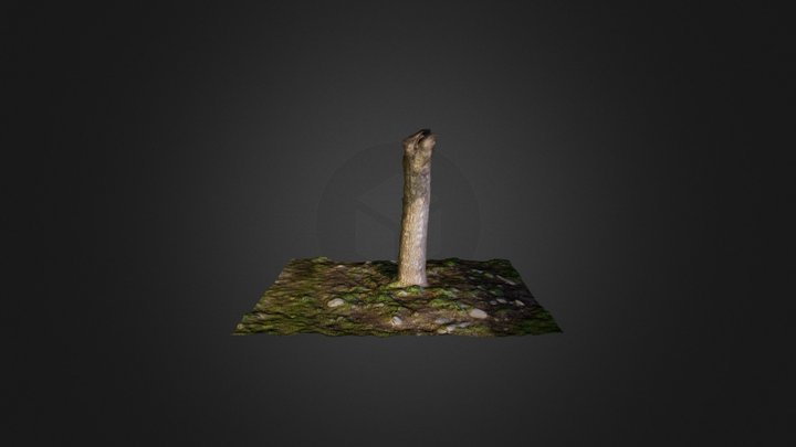 Google Glass Test 3D Model