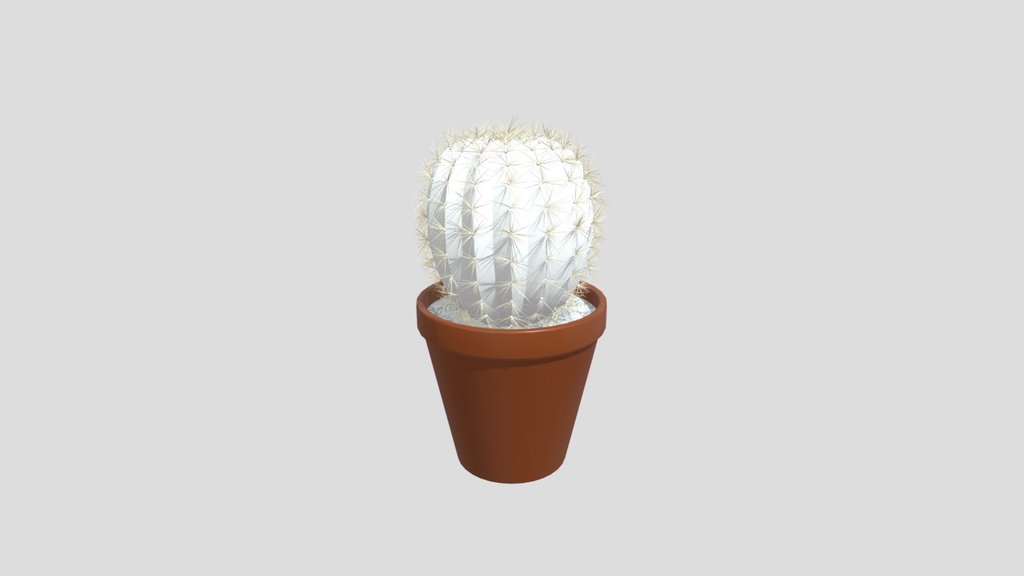 Cactus