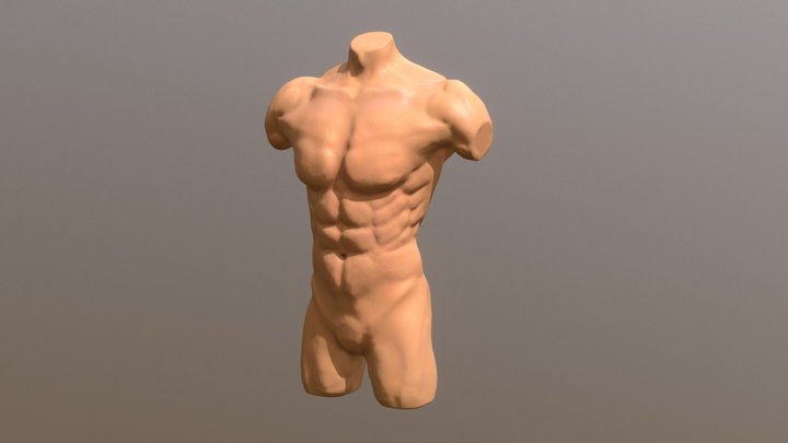 22 Sculpt January: Male Torso 3D Model